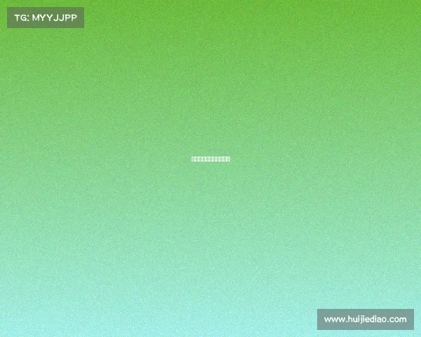 《枪战王者：巅峰对决》