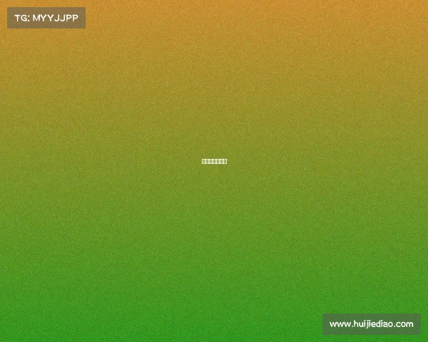 宿松的电竞团队 宿松的电竞团队