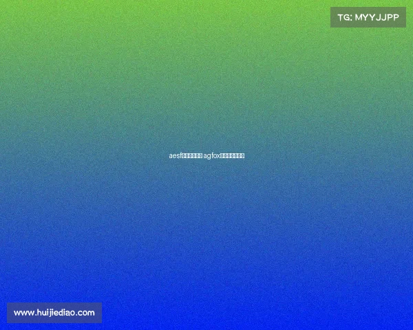 aesf电子竞技联盟 agfox电子竞技俱乐部 aesf电子竞技联盟 agfox电子竞技俱乐部